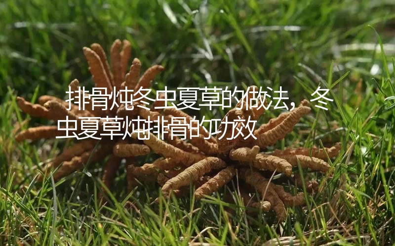 排骨燉冬蟲(chóng)夏草的做法，冬蟲(chóng)夏草燉排骨的作用