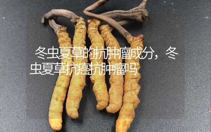 冬蟲夏草的抗腫瘤成分，冬蟲夏草抗癌抗腫瘤嗎？